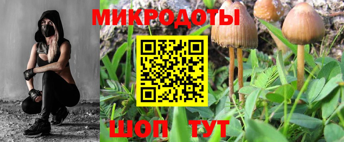 Псилоцибиновые грибы Psilocybe Чайковский