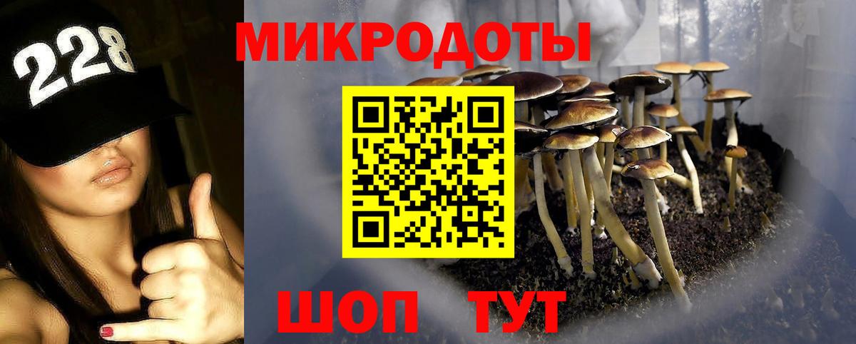 Псилоцибиновые грибы прущие грибы  Галлюциногенные грибы прущие грибы  Чайковский  Вход с VPN 
